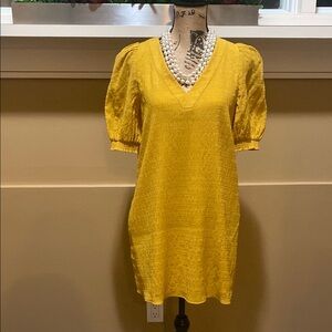 BB Dakota Fields of Gold Dress. Sz Sm. NWOT